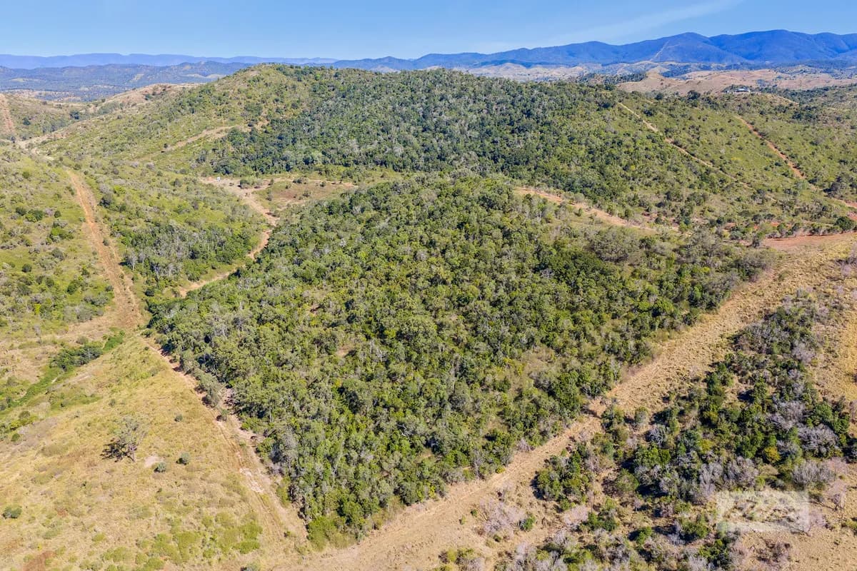 Lot 35 Aplin Road, Bracewell, QLD, 4695, Bracewell - Image 1