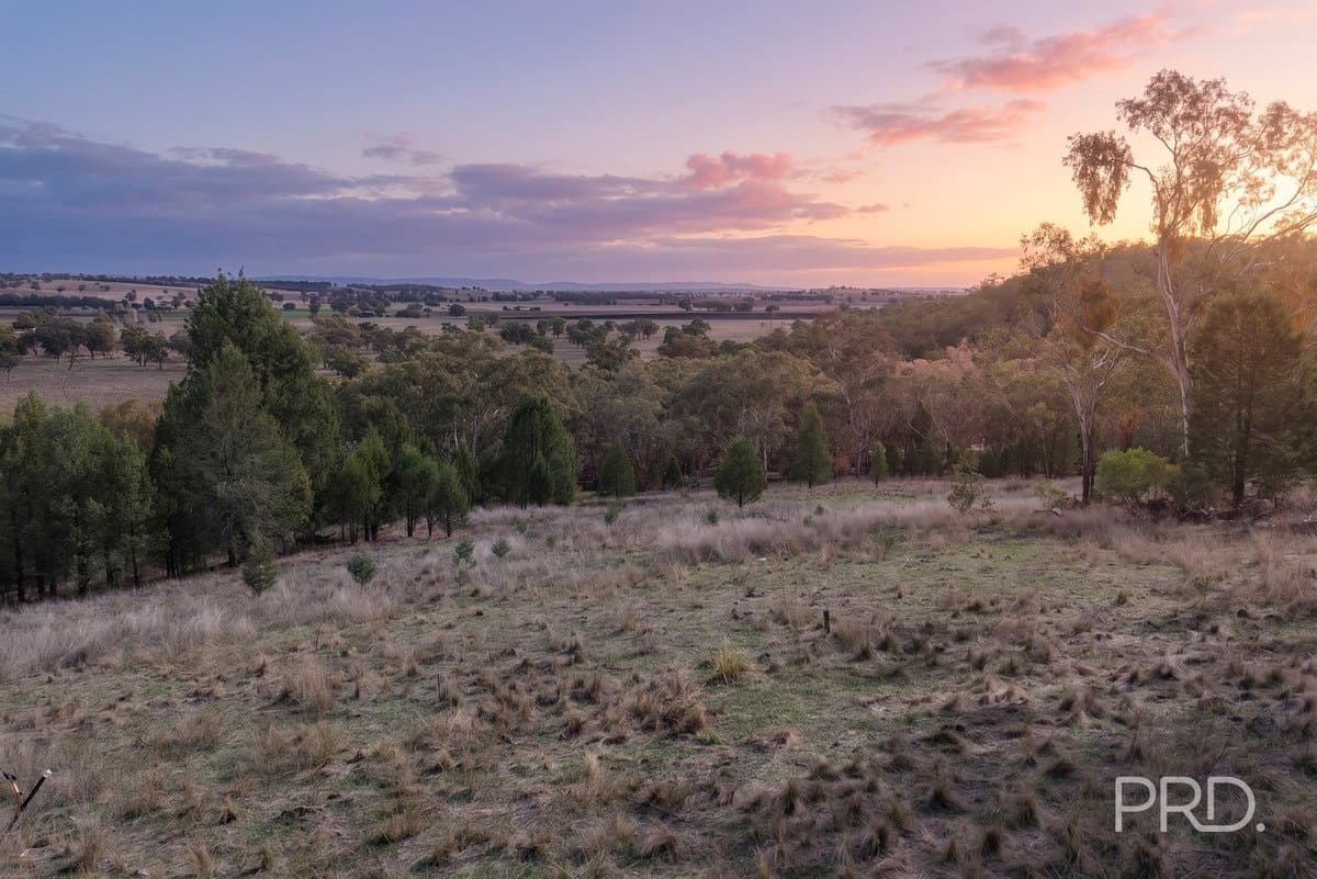 16 Bolah Ridge Road, QUIRINDI NSW 2343, Quirindi - Image 1