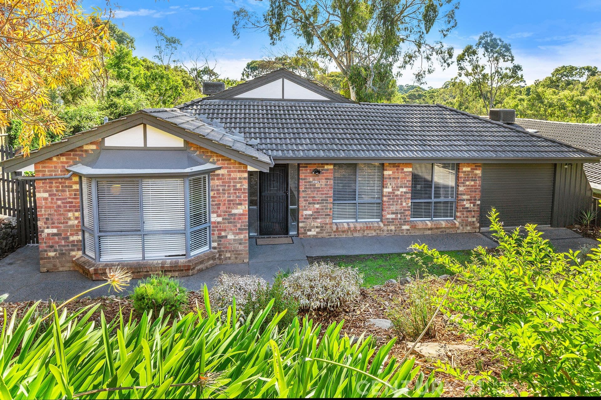 31 Dunalbyn Drive, Aberfoyle Park, SA, 5159, Aberfoyle Park - Image 1