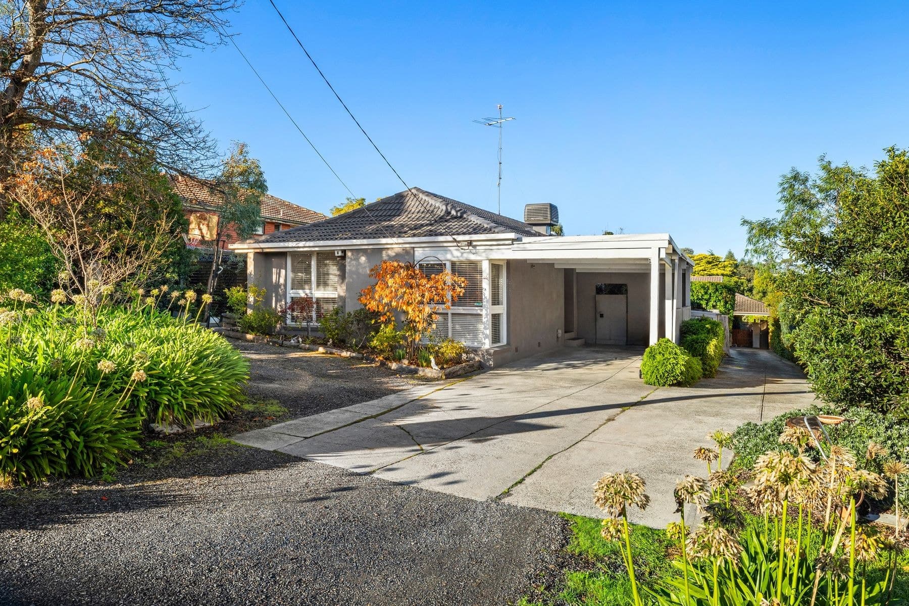 1/96 Wood Street, Templestowe VIC 3106, Templestowe - Image 1