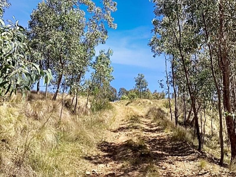160 Hawkes Road Taralga NSW, Taralga - Image 1