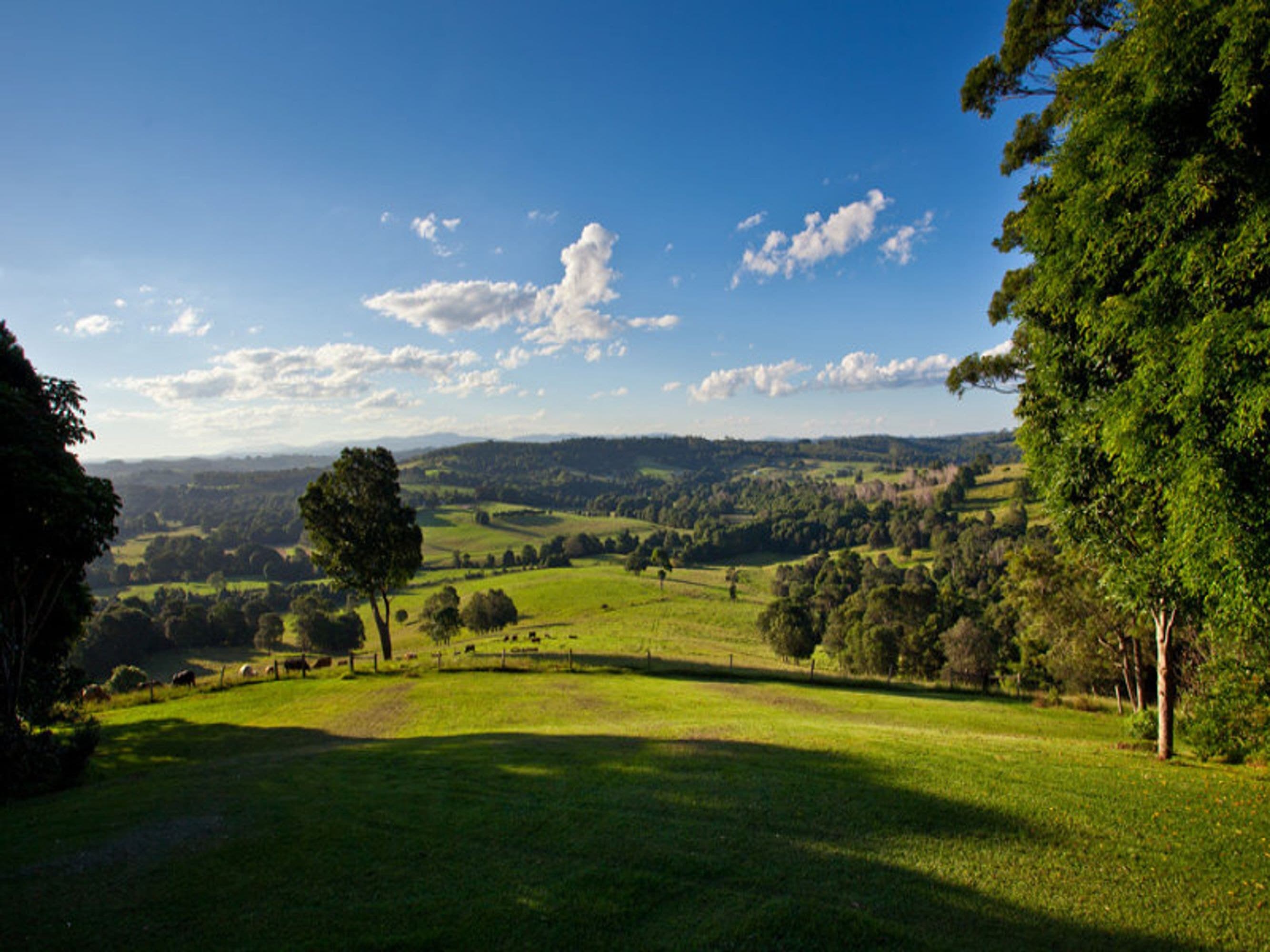 180 Flowers Road, Binna Burra, NSW 2479, Binna Burra - Image 1