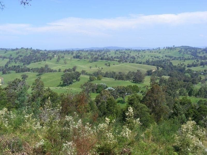Lot 10 Newpark Road Brogo NSW, Brogo - Image 1