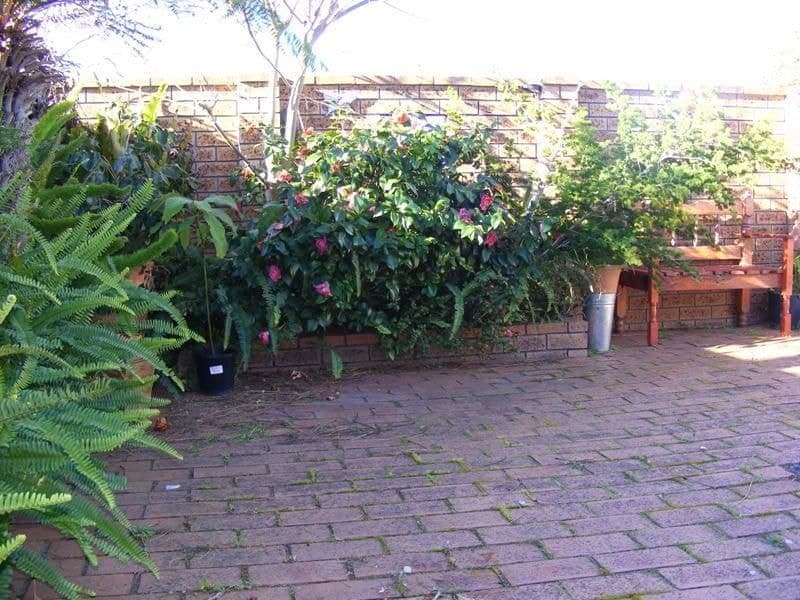 32 Glebe Avenue, Bega, Bega - Image 1