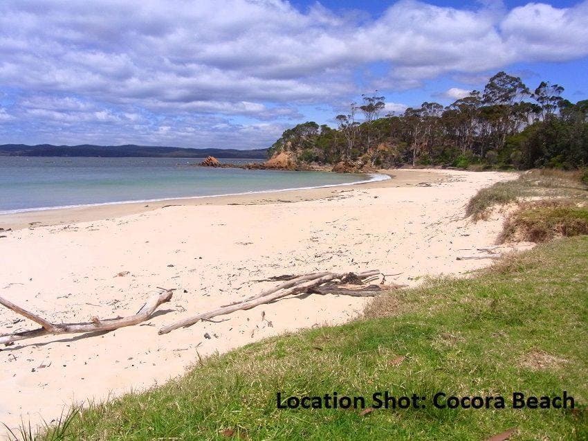 14A Andrea Street, Eden, Eden - Image 1