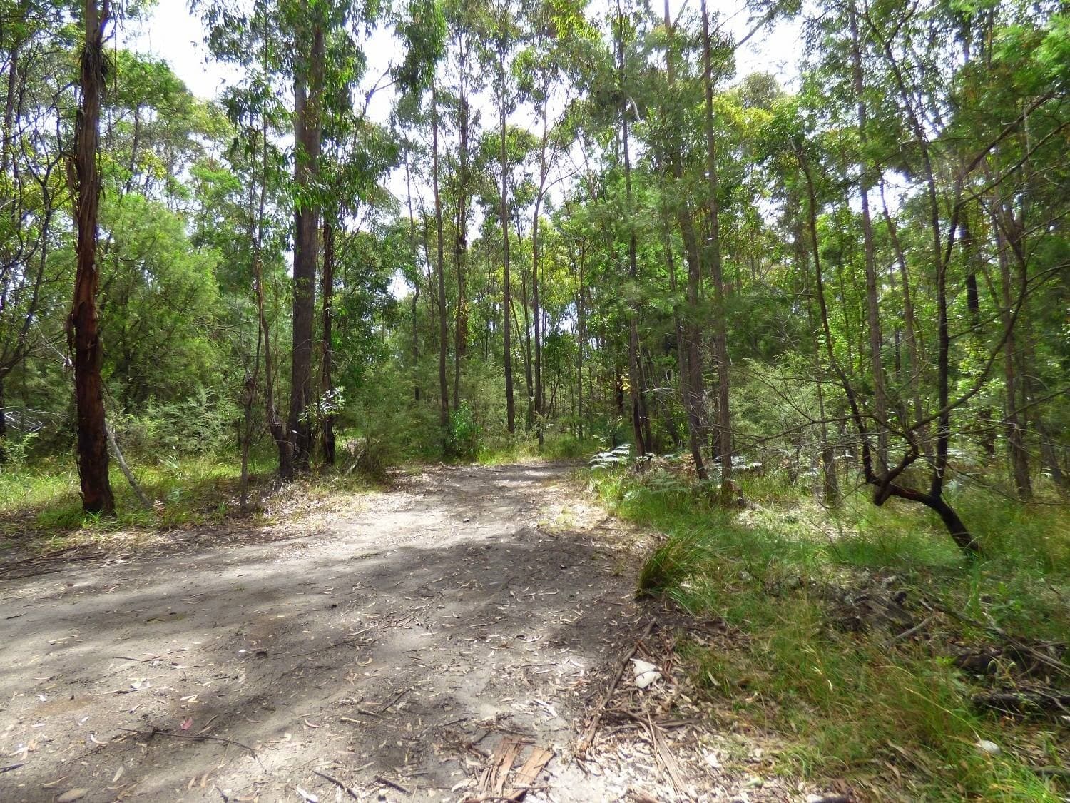 Lot 207 Hopkins Street, Eden, Eden - Image 1