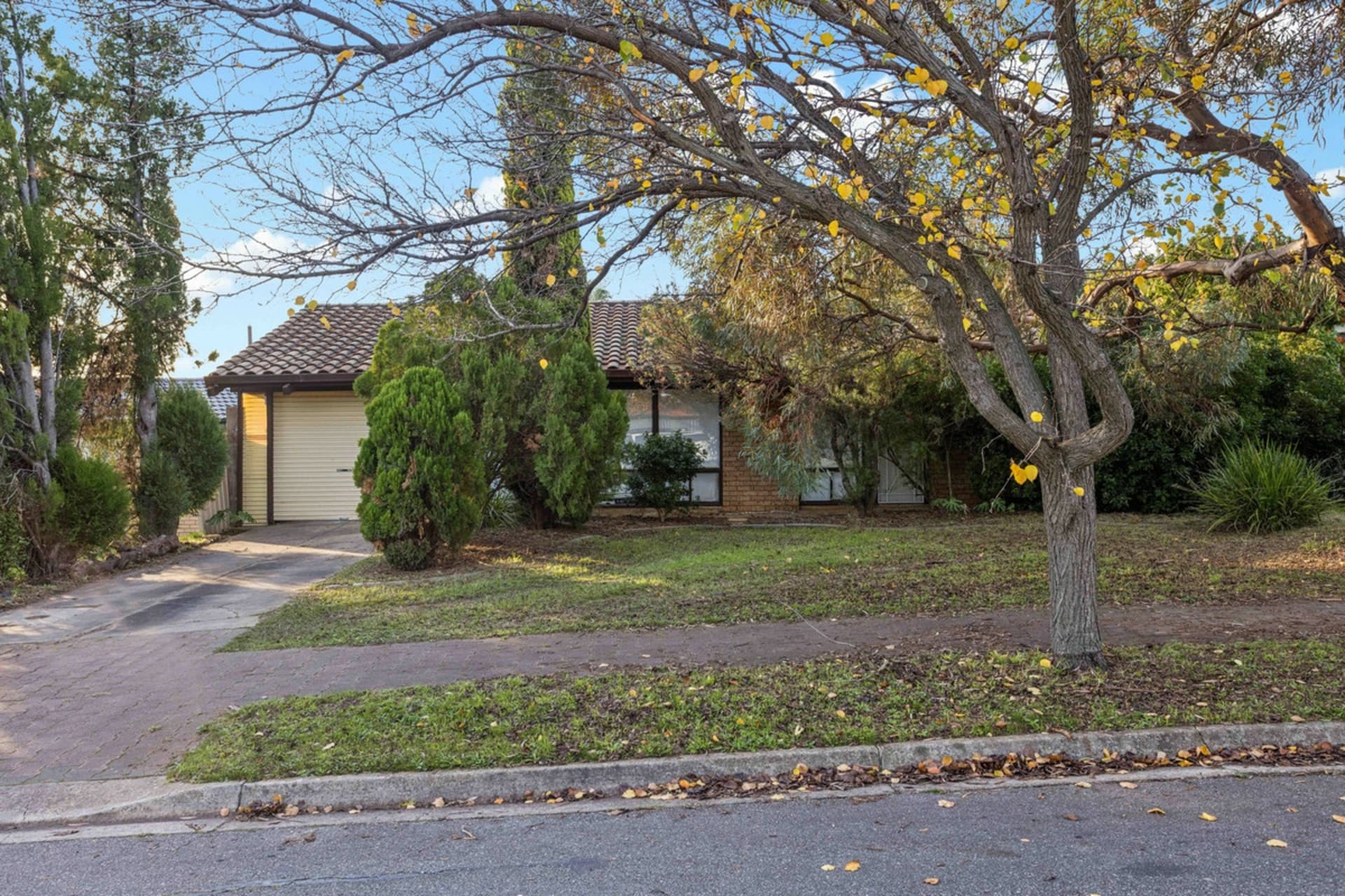 116 Billabong Road, Modbury Heights, Modbury Heights - Image 1