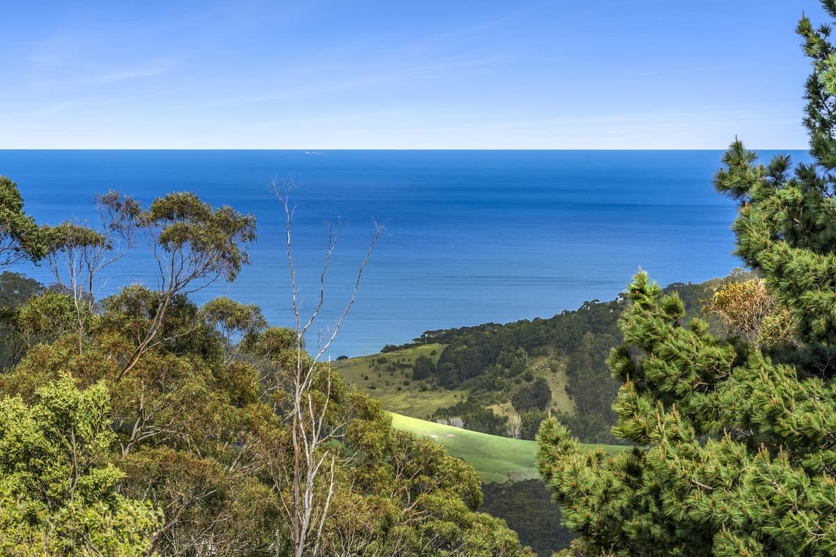 675 Skenes Creek Road, Skenes Creek North, VIC, Skenes Creek North - Image 1