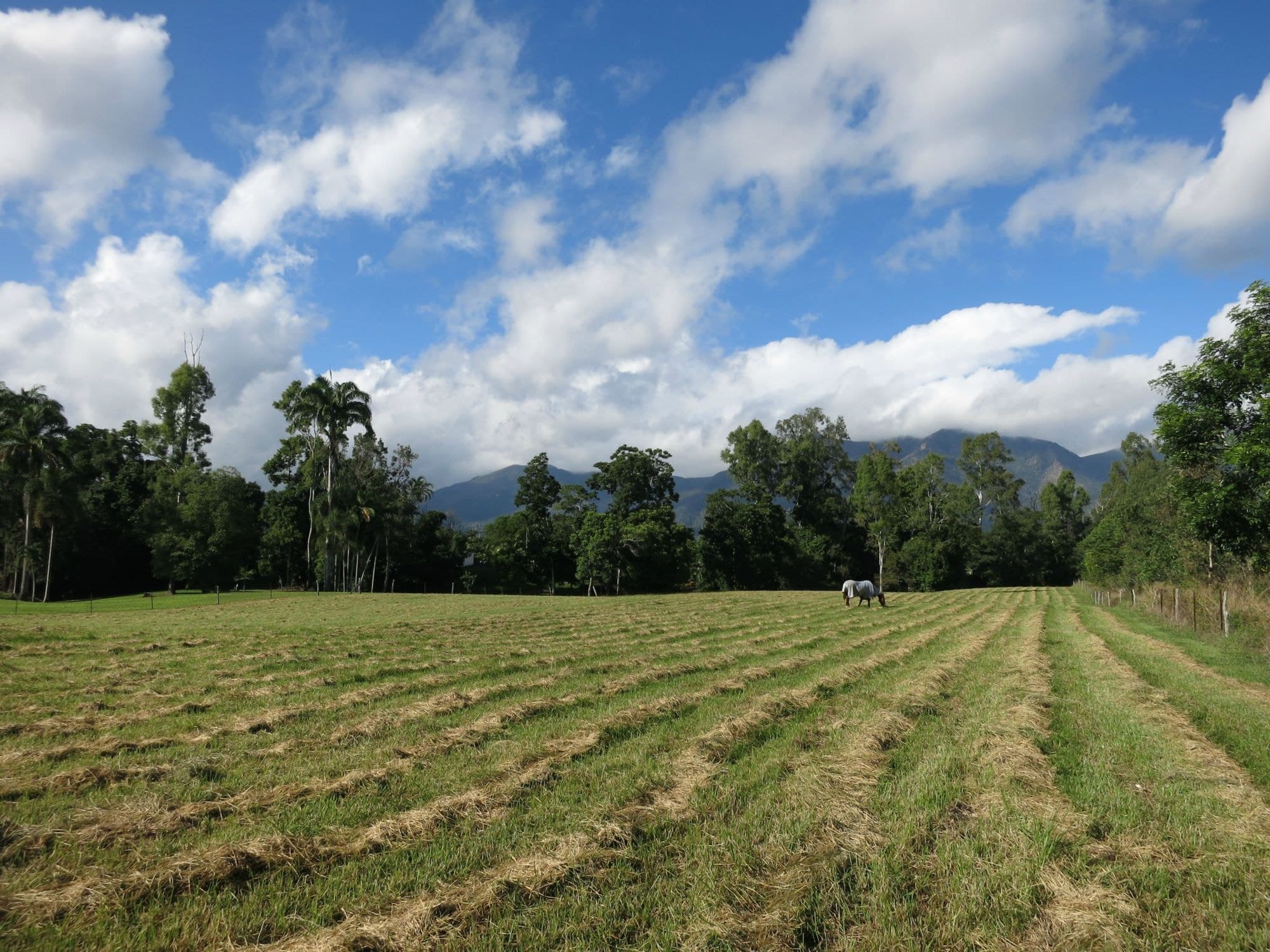 Lot 4 Sullivan Road, Carruchan QLD 4816, Carruchan - Image 1