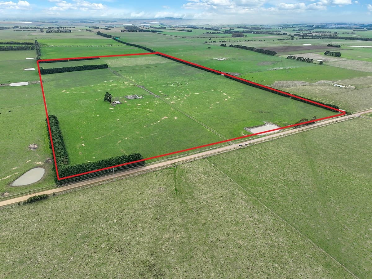 115 Collyers Road, Warncoort, VIC, Warncoort - Image 1