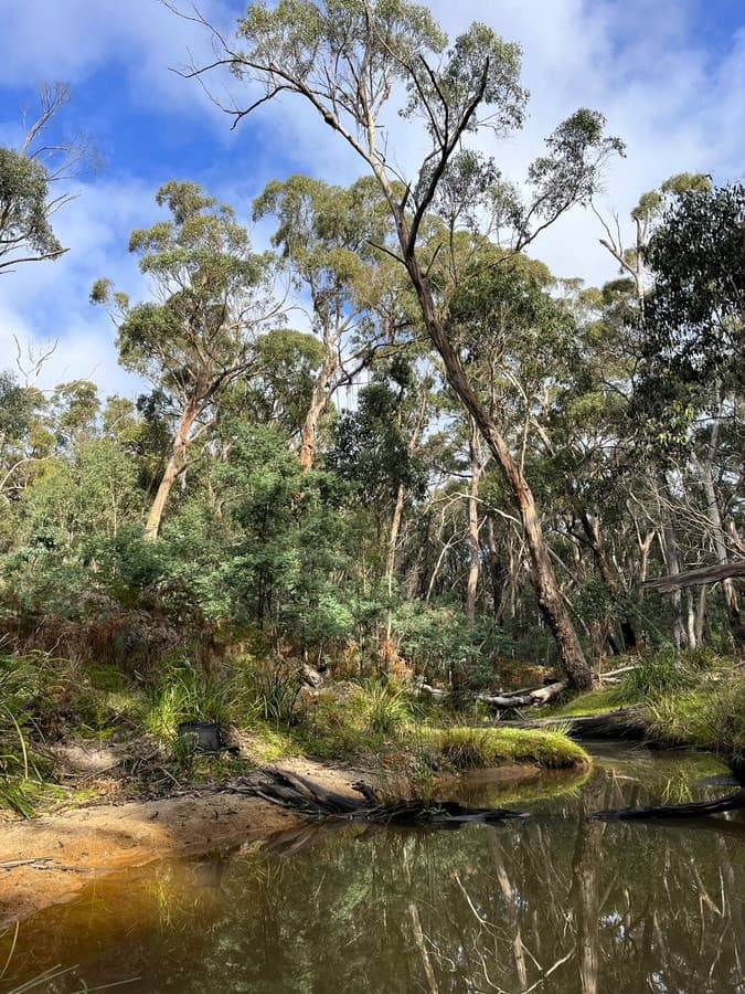Hardings Road, Nulla Vale, VIC, Nulla Vale - Image 1