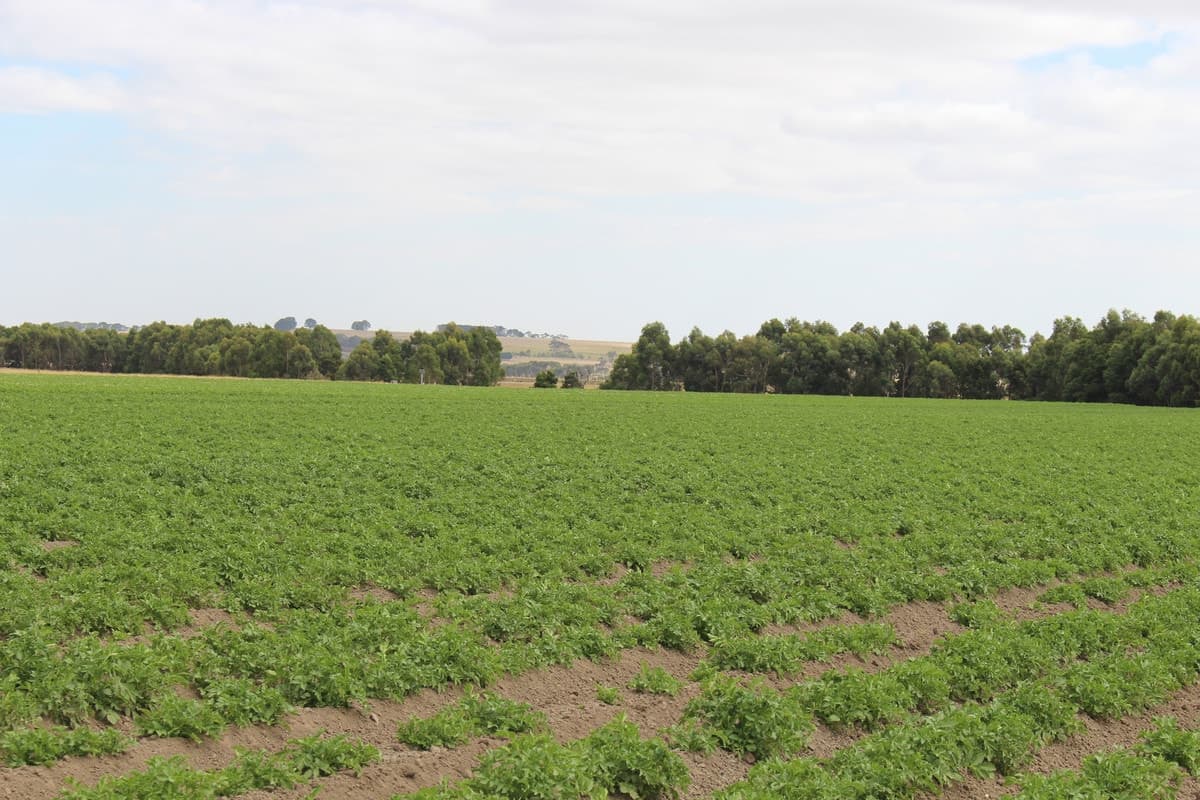 40 Gannons Road, Murroon, VIC, Murroon - Image 1