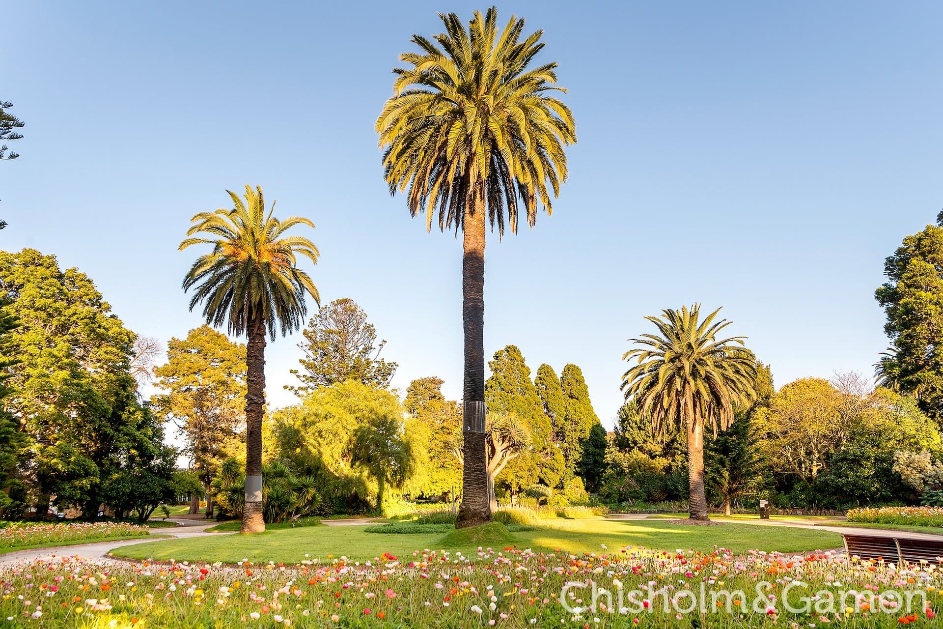 9/4 Poets Grove, Elwood, Elwood - Image 1