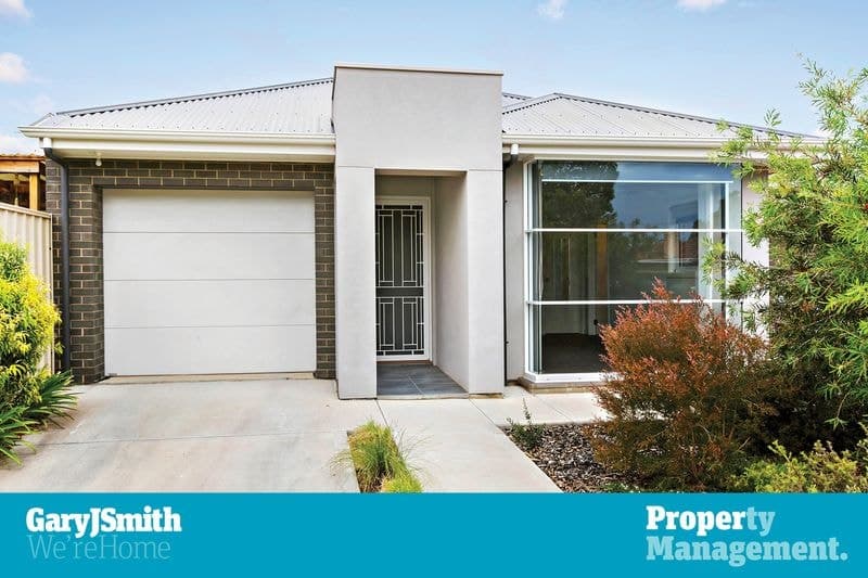 8 Collins Avenue, Edwardstown - Image 1