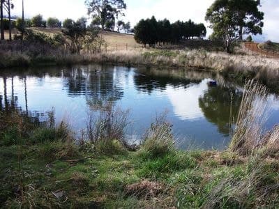1416 Woodsdale Road, LEVENDALE TAS, Levendale - Image 1