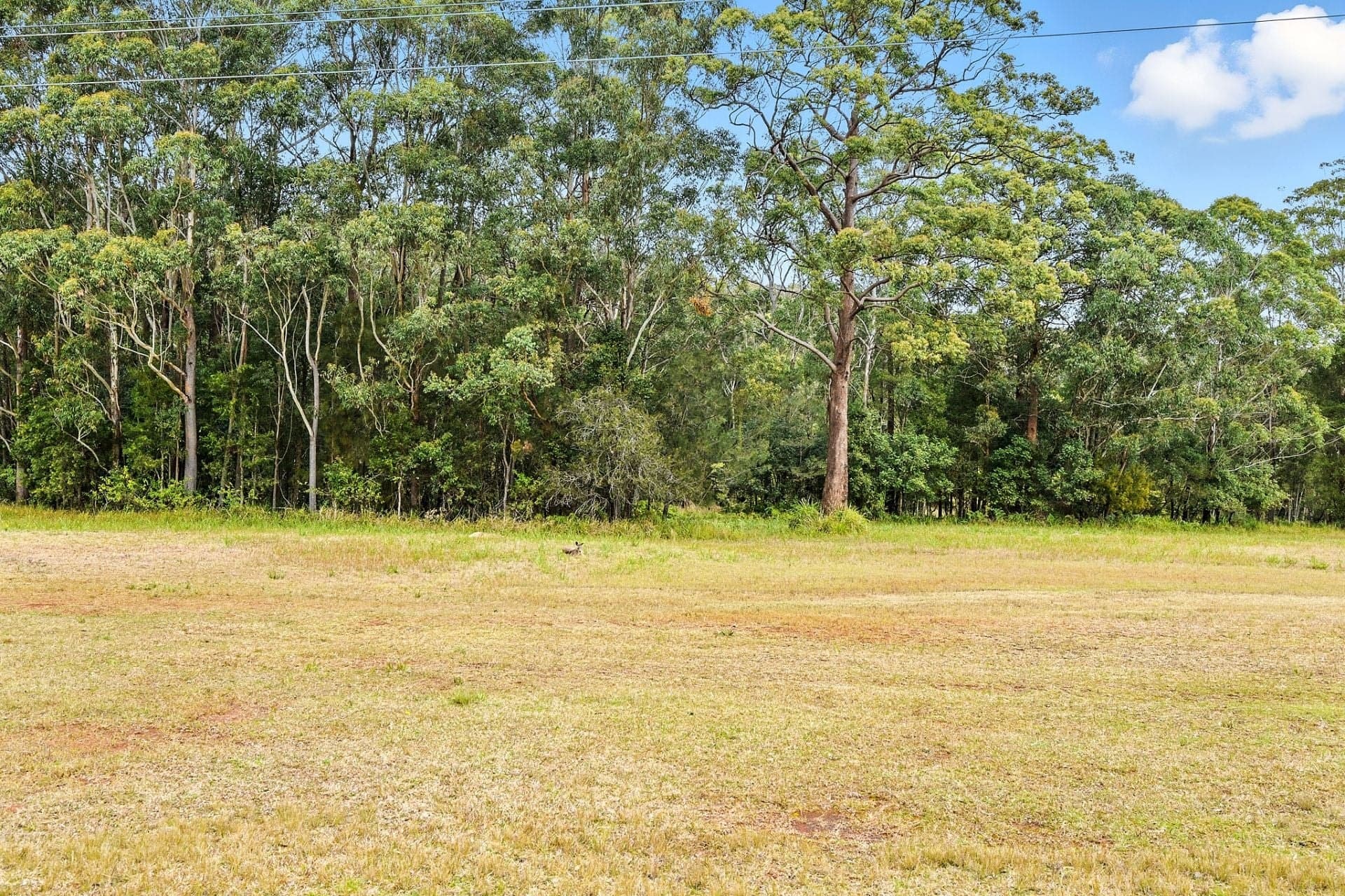 15 Redgum Circuit Port Macquarie NSW, Port Macquarie - Image 1
