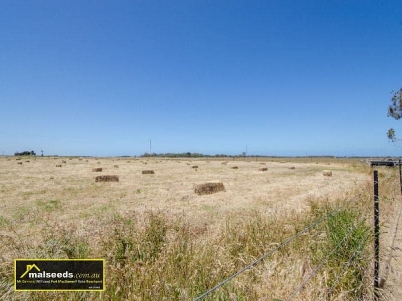 88 Lithgows Road Allendale East SA, Allendale East - Image 1