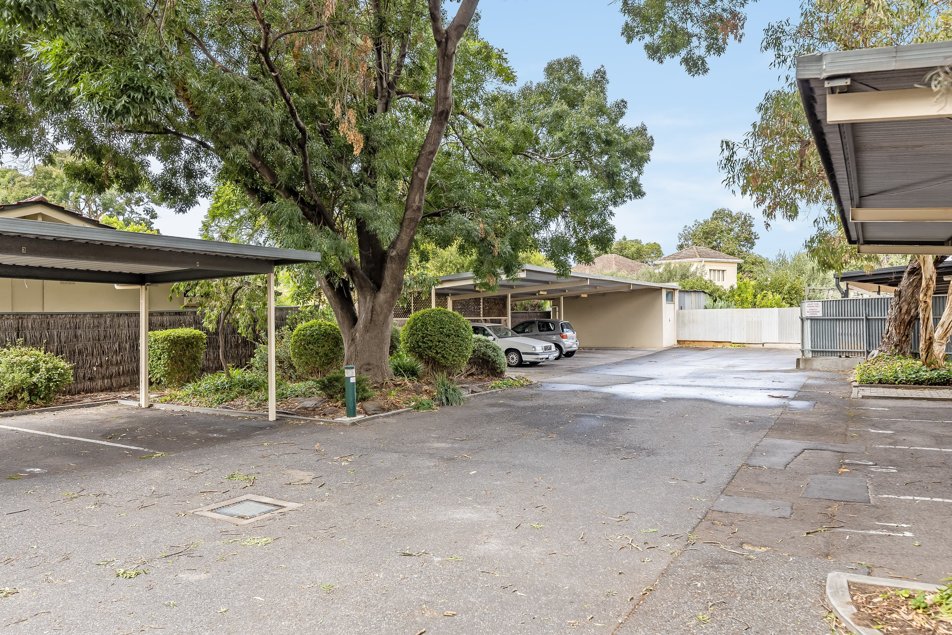 2/24 Ashbrook Avenue, Payneham, SA, 5070, Payneham - Image 1