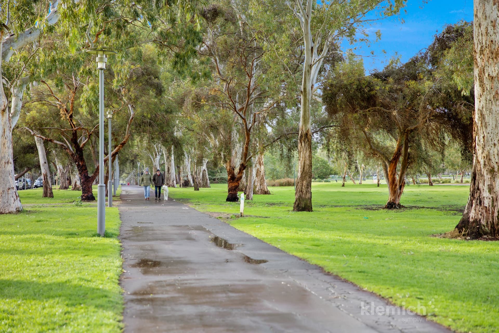21 Bonython Close, Adelaide, SA, 5000, Adelaide - Image 1