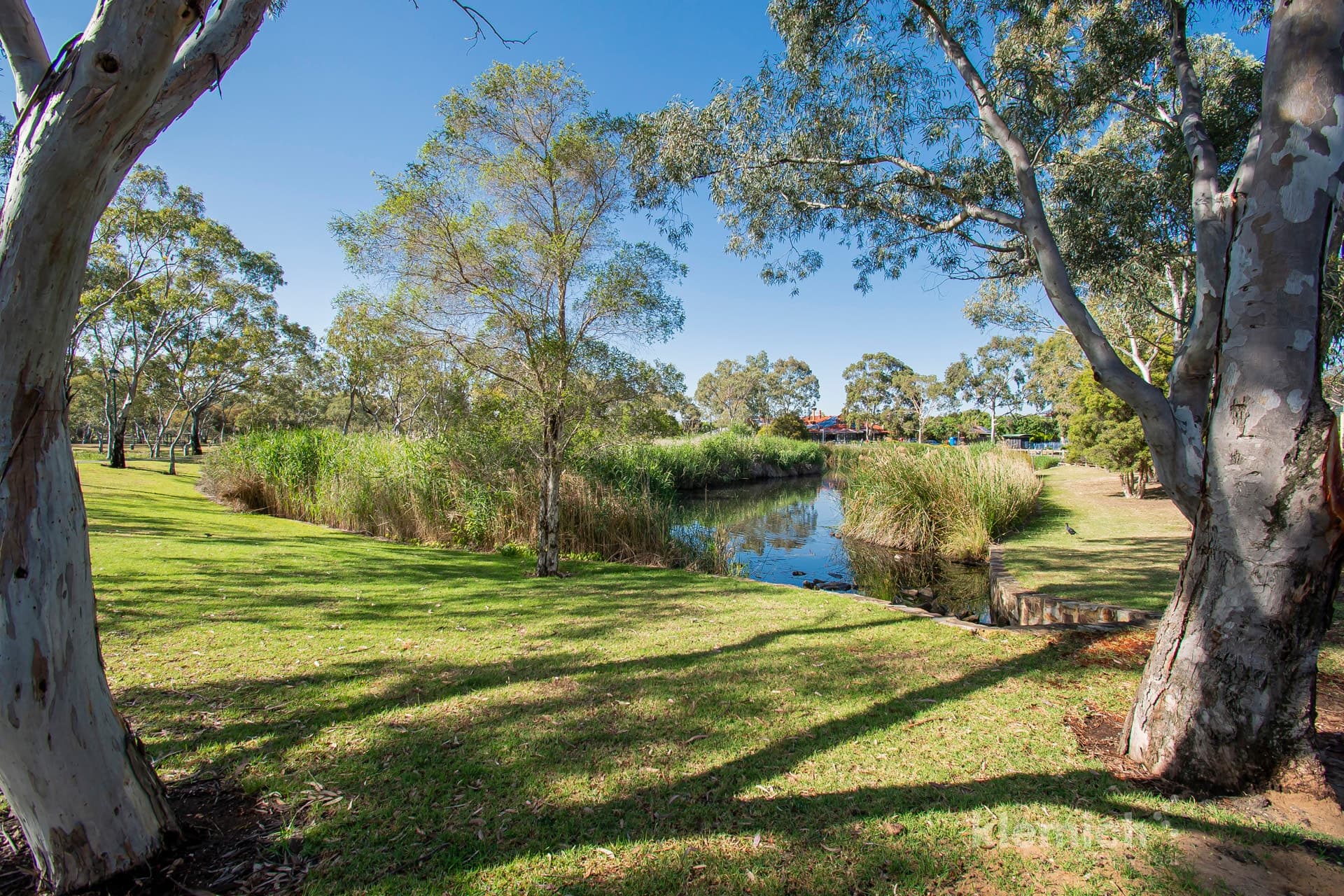 10 Acorn Parade, Oakden, SA, 5086, Oakden - Image 1