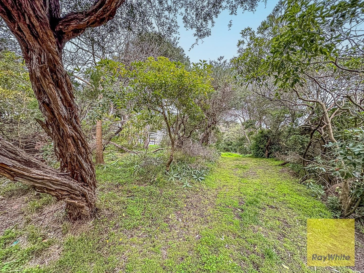 36 Sunshine Rise, Sandy Point VIC 3959, Sandy Point - Image 1