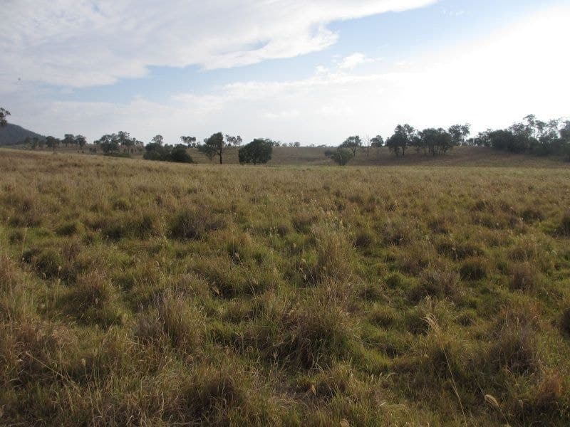 Boonah Rathdowney Road DUGANDAN QLD, Dugandan - Image 1