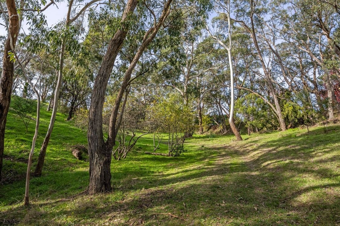Lot 21 Montacute Road, MONTACUTE, SA 5134, Montacute - Image 1