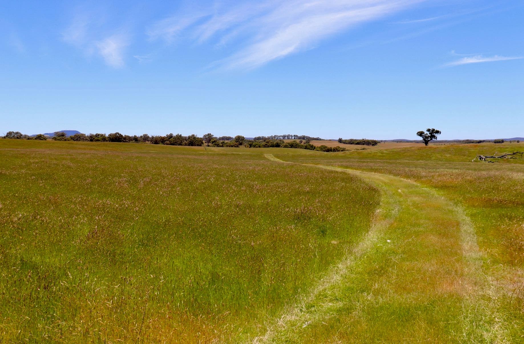Lot 13, 13A, 13B, 31A &, 31C BRIDGE ROAD, Grenville - Image 1