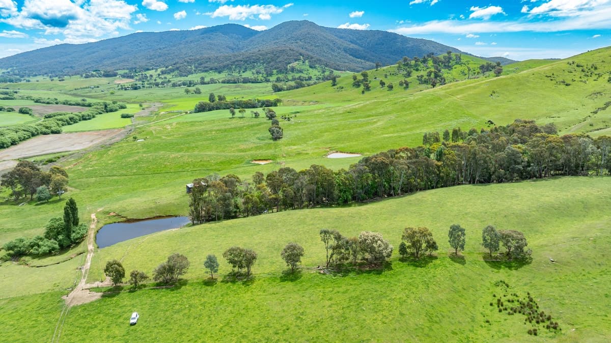 Swamp Lane, Dederang VIC 3691, Dederang - Image 1