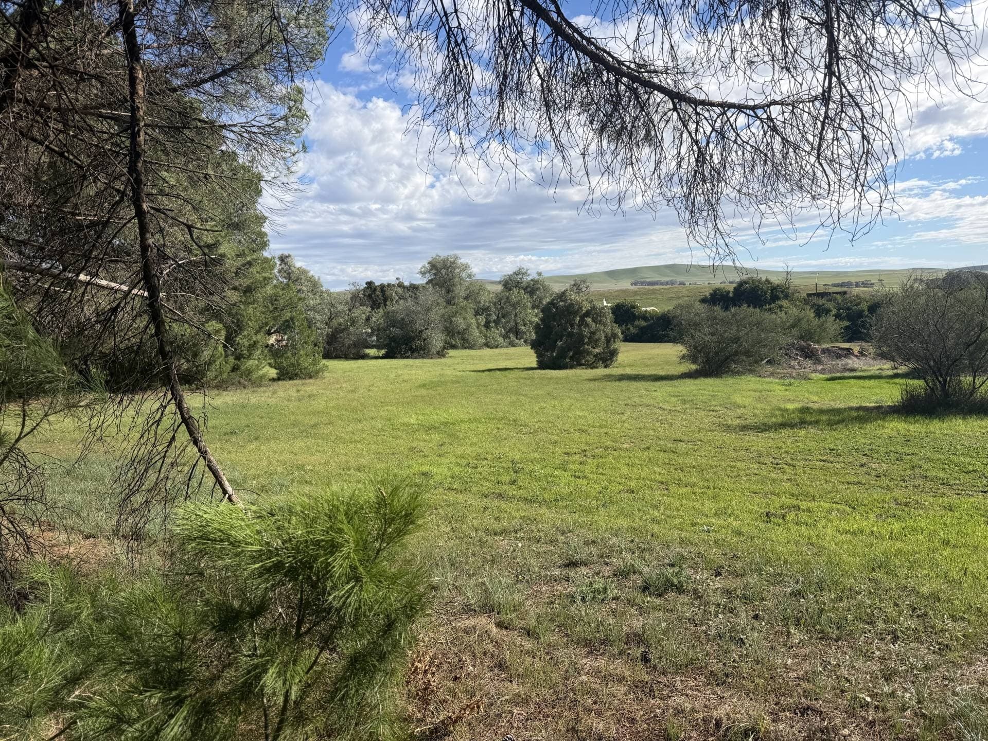 Lot 97 Railway Terrace, Burra - Image 1