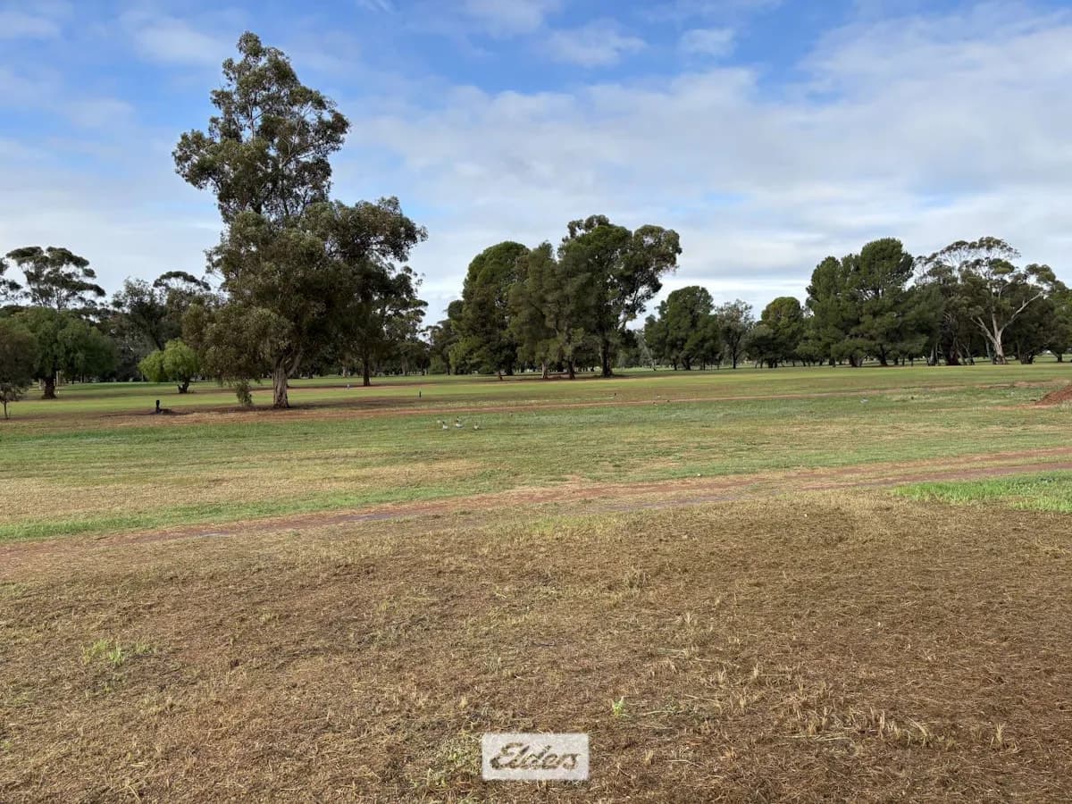 7 Glenda Court, Robinvale, VIC, 3549, Robinvale - Image 1