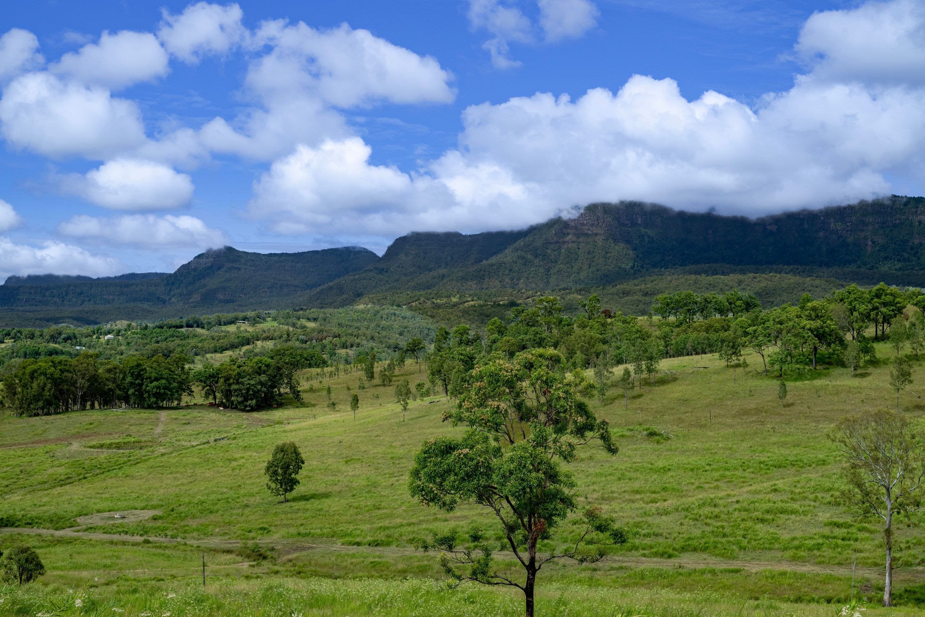 2 Ryan Road, Tarome QLD 4309, Tarome - Image 1
