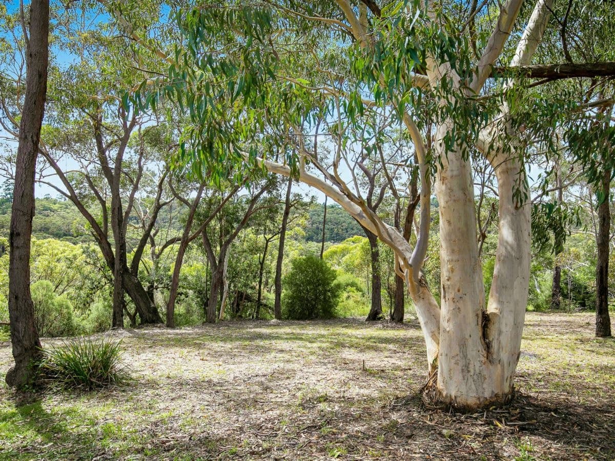 29 Lysiana Road, WOODFORD, Woodford - Image 1