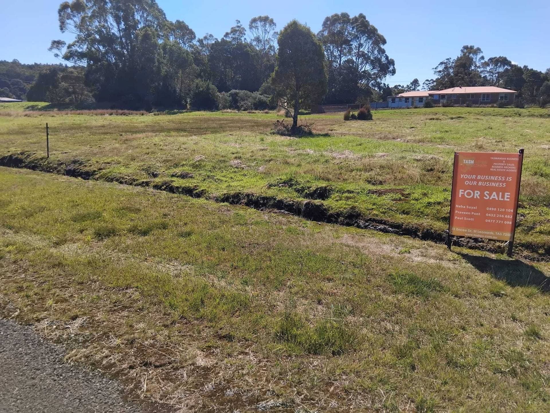 17 Tarleton Street, Zeehan TAS 7469, Zeehan - Image 1