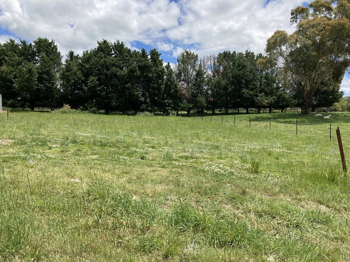 70A HARDINGE STREET Guyra 2365, Guyra - Image 1