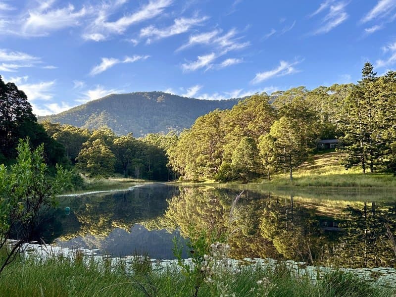 175 Midginbil, Murwillumbah, Murwillumbah - Image 1