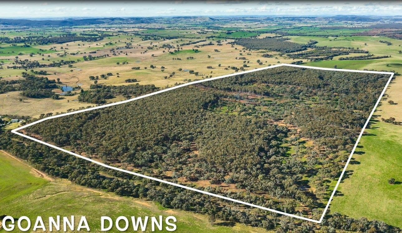 . Holbrook Wagga Road, COOKARDINIA, NSW, 2650, Cookardinia - Image 1