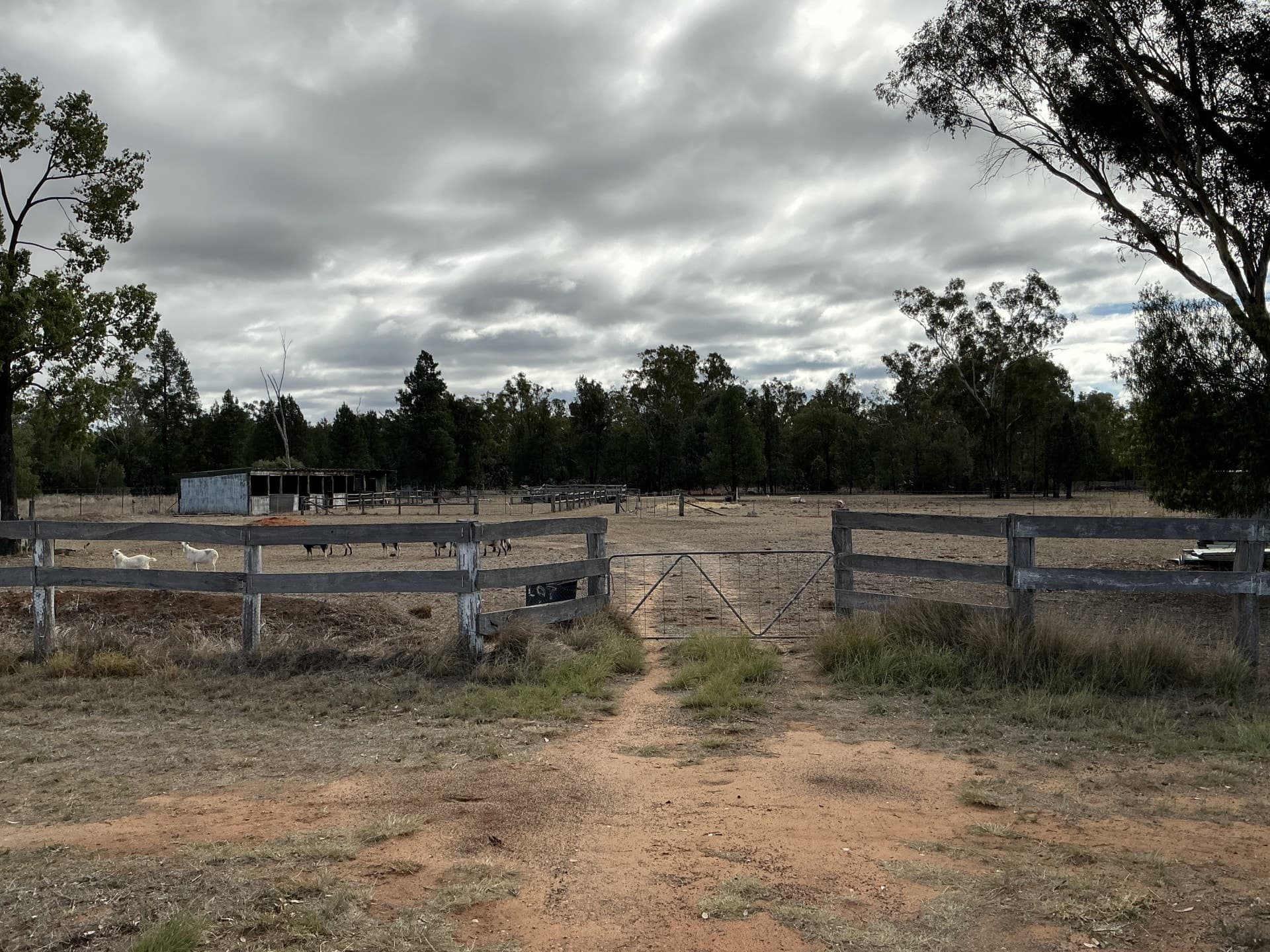 61 Lachlan, Baradine - Image 1