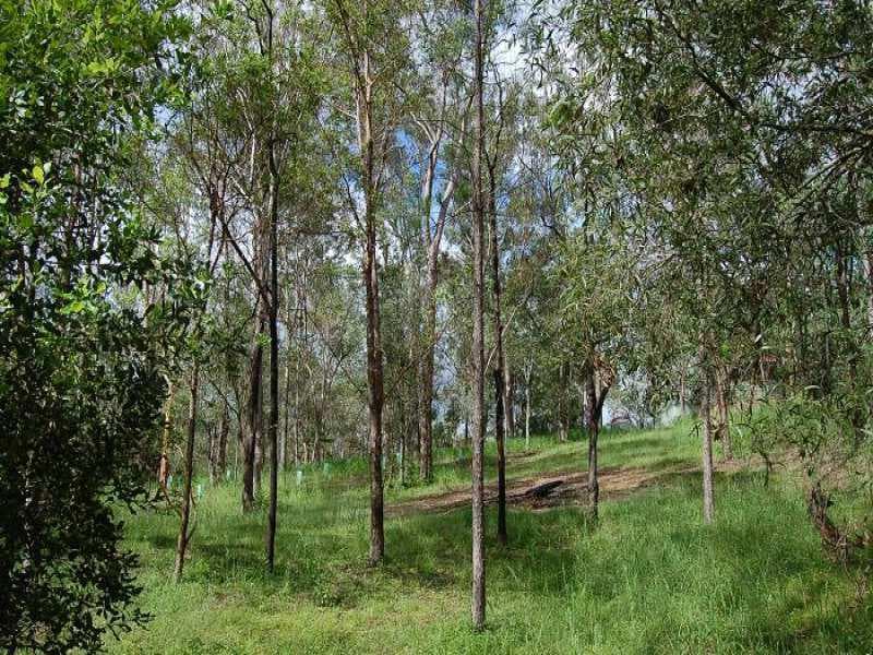 1/31 Manning Road, Double Bay, Karana Downs - Image 1