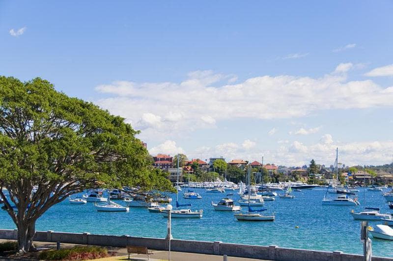 7/659 New South Head Road, Rose Bay, Rose Bay - Image 1