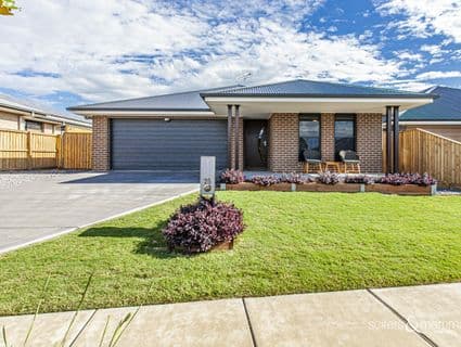 25 Bower Road, Medowie, NSW, 2318, Medowie - Image 1