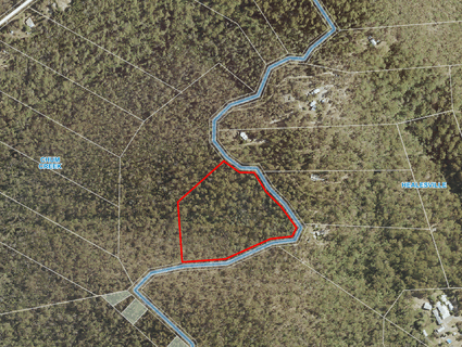 245 Lowes Road, Chum Creek - Image 1