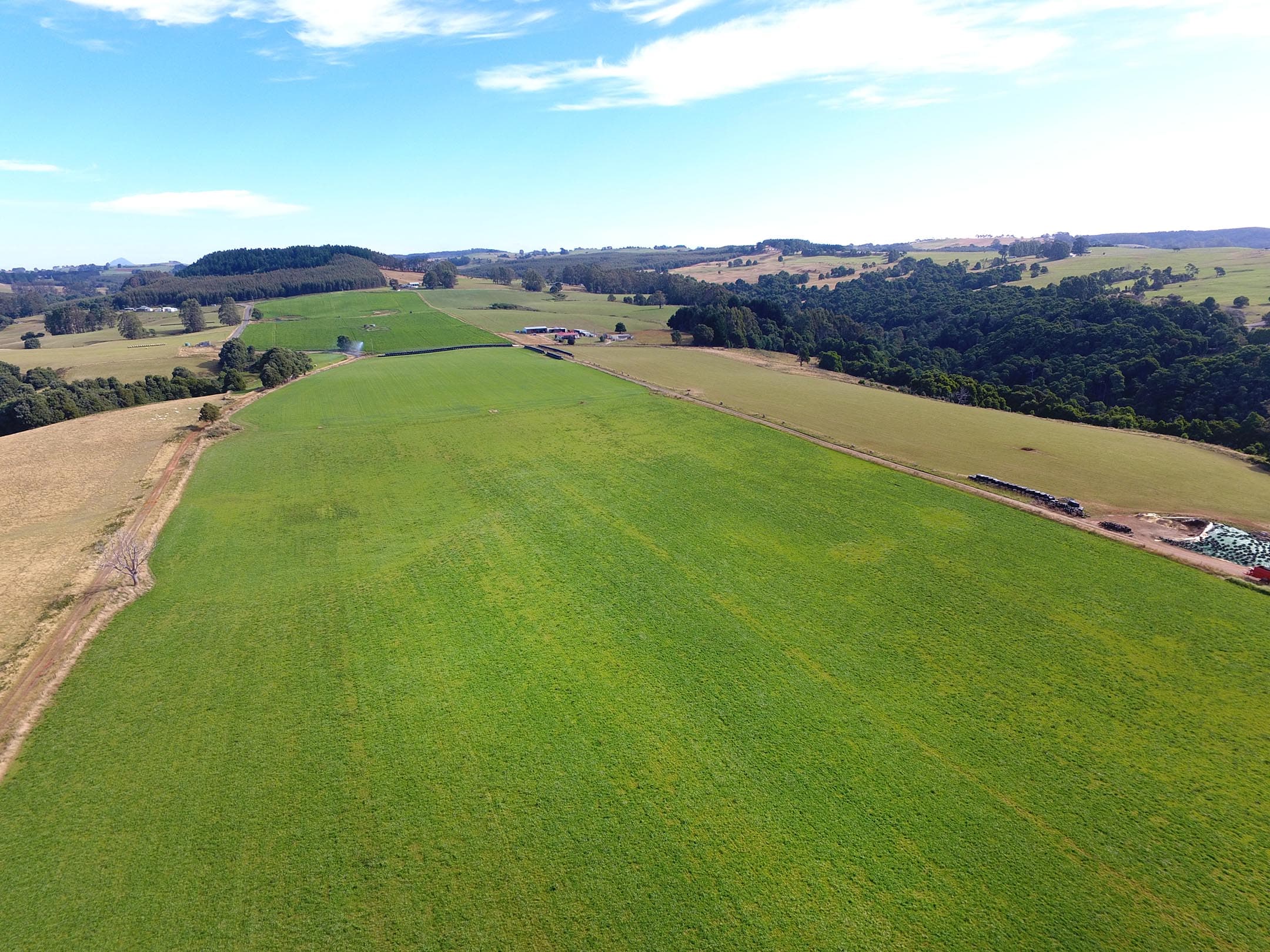 245 Smarts Road, MOUNT HICKS, TAS, Mount Hicks - Image 1