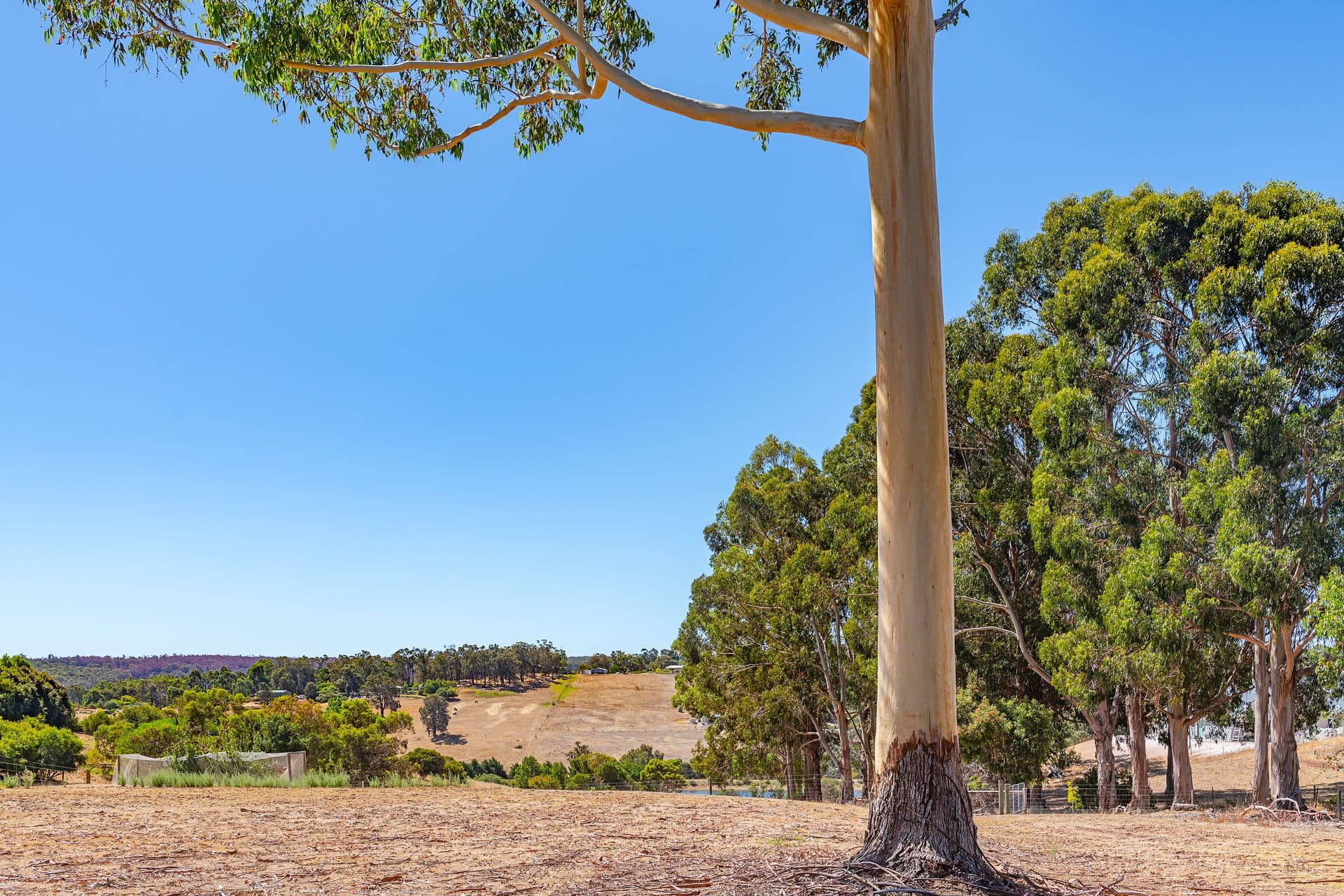 37/23 Casuarina Drive, Bunbury, WA, 6230, Kangaroo Gully - Image 1