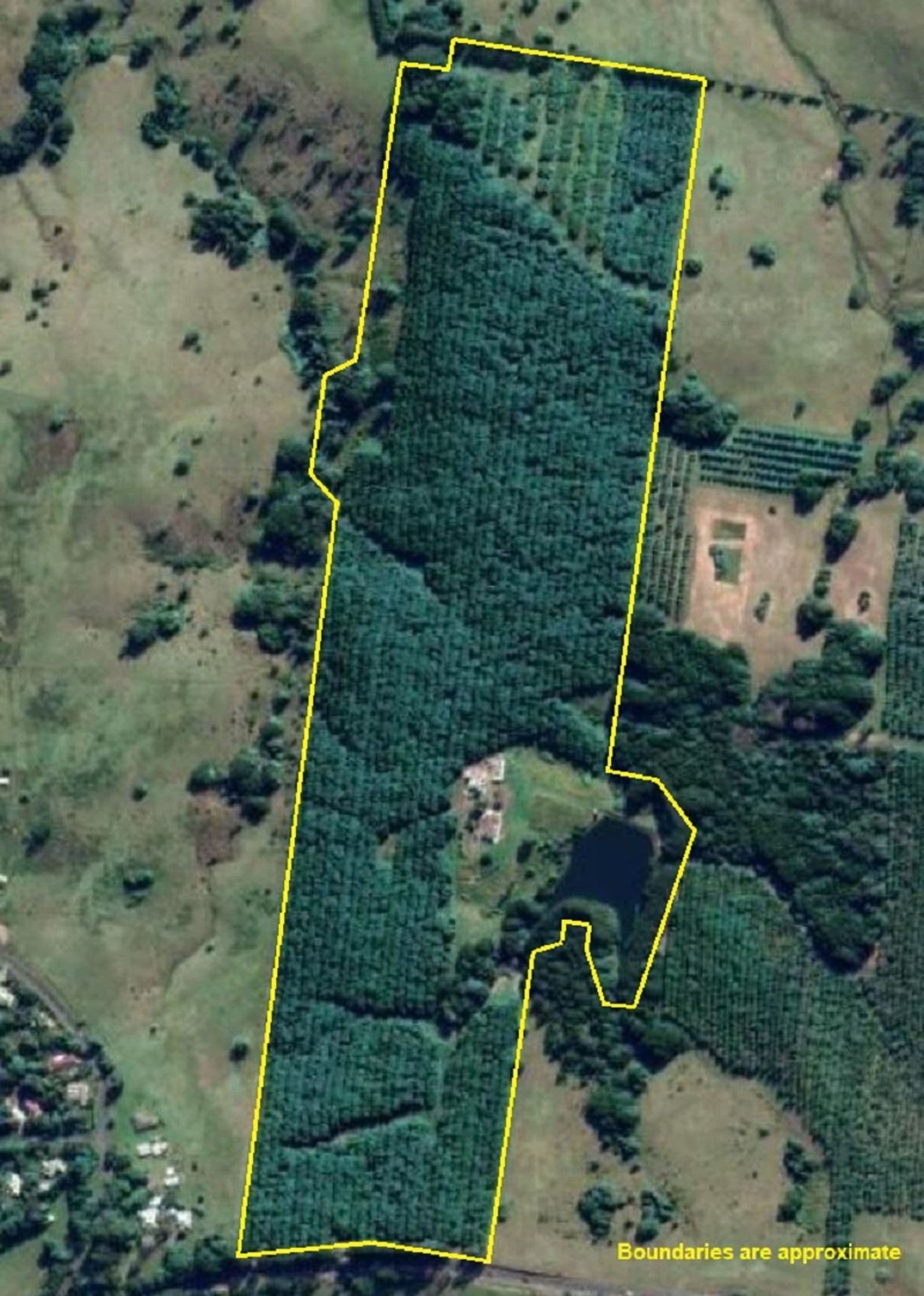1360 Lismore Road, Clunes, NSW, 2480, Clunes - Image 1