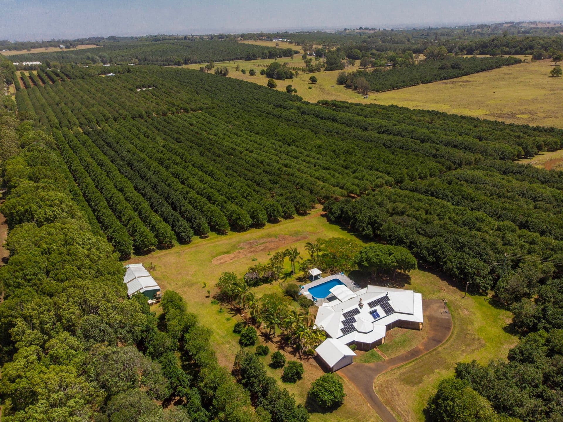 Address Withheld, Alstonville, NSW, 2477, Alstonville - Image 1