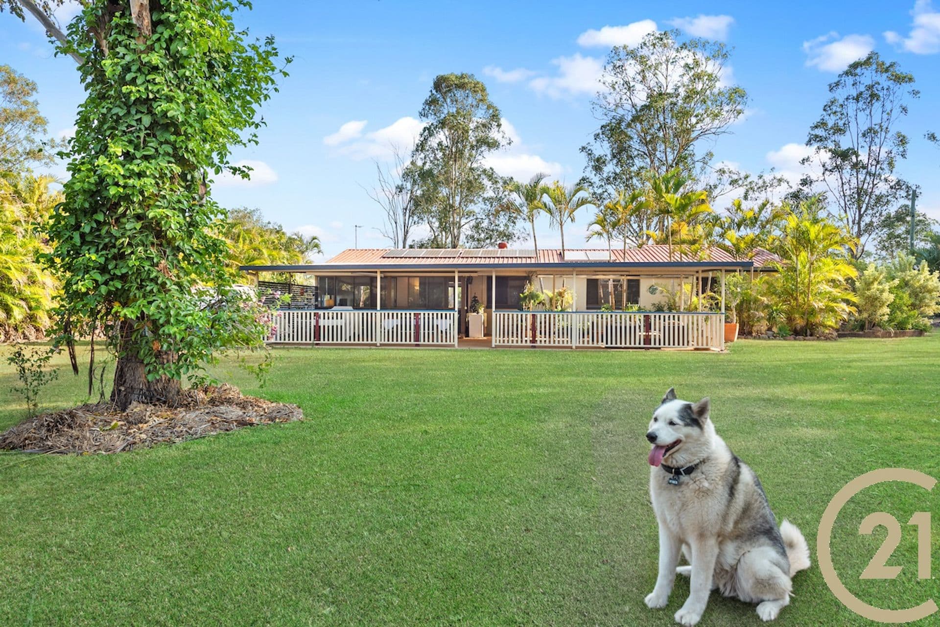 558 Caboolture River Road, Upper Caboolture, QLD, 4510, Upper Caboolture - Image 1