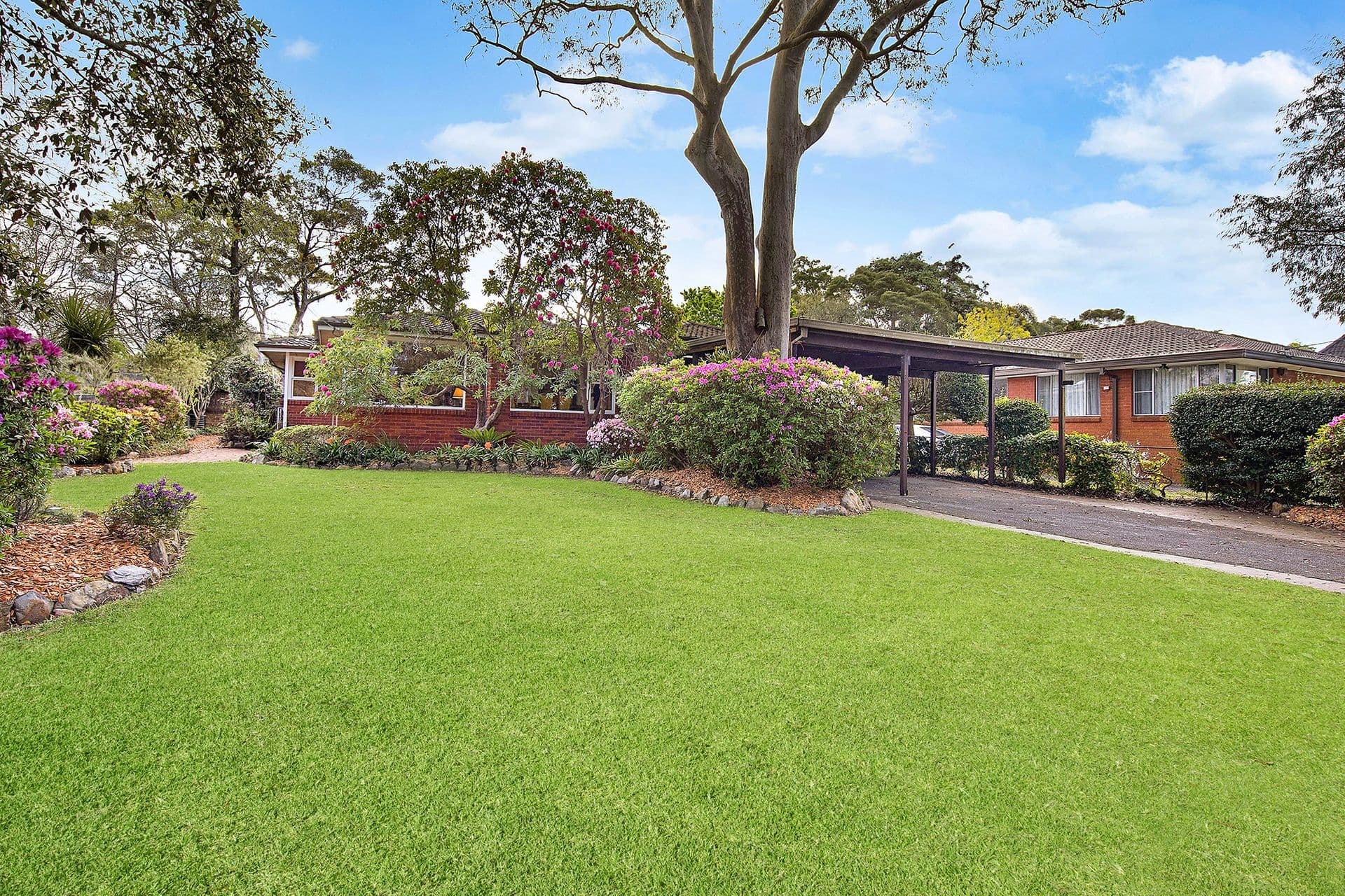 38 Murdoch Street, Turramurra, NSW, 2074, Turramurra - Image 1