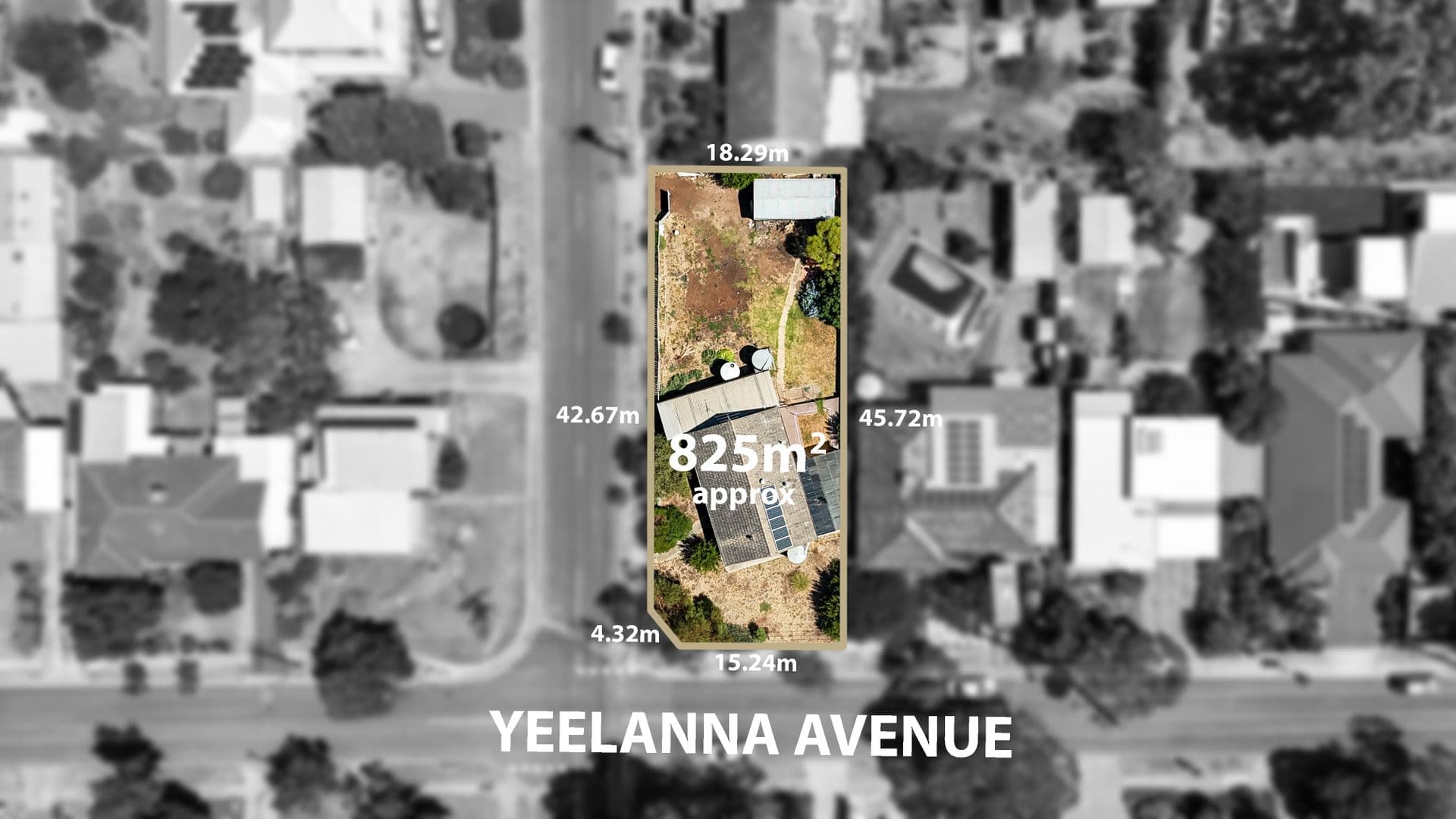 38 Yeelanna Avenue, Seaview Downs, SA, 5049, Seaview Downs - Image 1