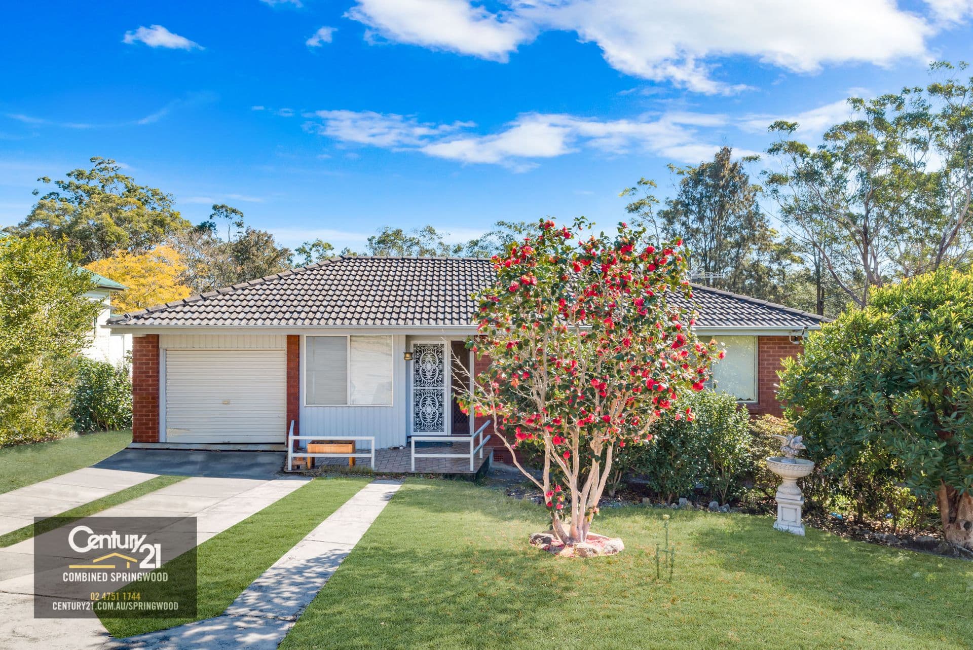3 Fels Ave, Springwood, NSW, 2777, Springwood - Image 1